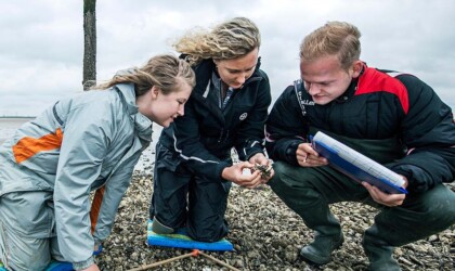 Drie cursisten die onderzoek doen naar mariene organismen