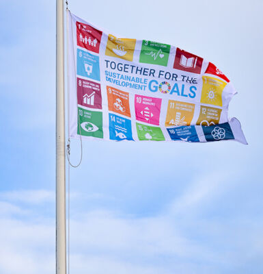 Picture of the SDG flag